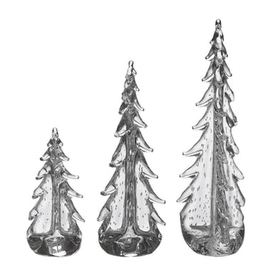 Bubble Evergreen - Various Sizes